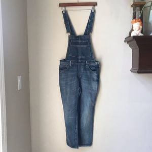 Blank NYC Skinny Overalls | 28 | distressed |